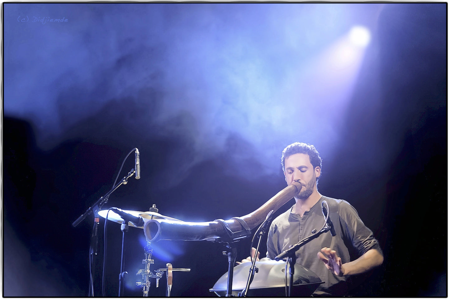 Book a Handpan Concert